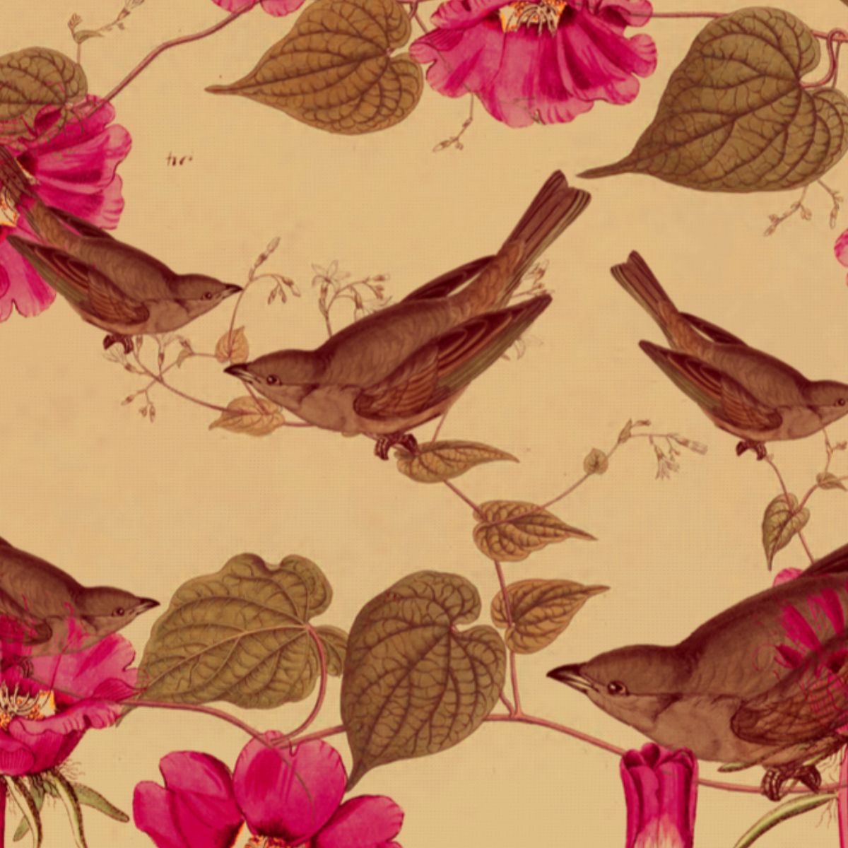 Papel mural Pájaros y elementos botánicos – Crema